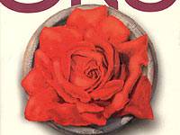 Постер аудиокниги Имя розы